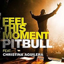 Download pitbull feel this moment